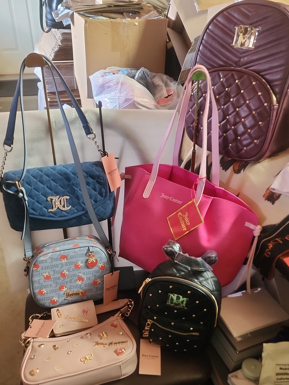 Sellers Bundle of 7 Juicy Couture & Badgley Mischka ALL Nwt No Call Outs